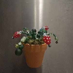 May include: A miniature beaded strawberry plant in a small terracotta pot. The strawberries are red with white dots, and the leaves are green. The pot is filled with moss. A decorative item.
