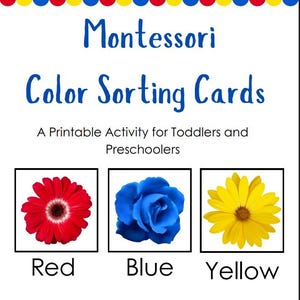 Tarjetas de clasificación de colores Montessori / Imprimibles para preescolar / Actividad educativa para niños pequeños / Tarjetas de colores primarios / Descarga instantánea