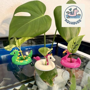 Könnte beinhalten: Drei Mini-Schwimmbecken-Pflanzgefäße in einem wassergefüllten Behälter. Ein grüner Drache, ein weißes Einhorn und ein rosa Flamingo schweben um grüne Pflanzen. Das Aquabuds-Logo befindet sich in der oberen rechten Ecke.