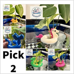Flotador de propagación - PICK 2