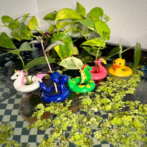 May include: A collection of colorful, miniature pool float planters in the shapes of a unicorn, a blue balloon animal, a green snake, a pink flamingo, and a yellow duck. Each planter holds a small plant, set in a water feature with green plants.