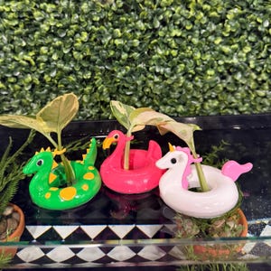 Può includere: Tre vasi stravaganti a forma di drago verde, fenicottero rosa e unicorno bianco. Ogni vaso contiene una piccola pianta con foglie verdi e crema. I vasi sono inseriti in un contenitore decorativo.