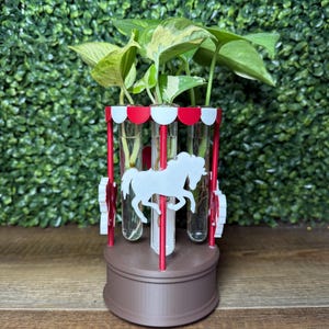 Propagation Station -  Music Box Carousel - Circus Horse Carousel - for propagating house plants