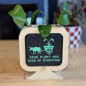 May include: A retro-style planter shaped like a computer monitor, with a black screen displaying a pixelated image of a plant and the text "YOUR PLANT HAS DIED OF DYSENTERY." The planter holds green plants. The monitor is beige with a power button.