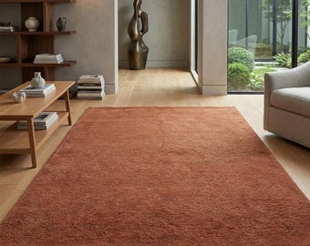 May include: A rectangular area rug in a solid, deep terracotta orange color with a dense, plush, and textured pile surface. The rug is positioned flat on a light-toned wooden floor, covering a large portion of the visible floor space in the room.