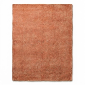 A direct, overhead flat-lay view of a rectangular, solid terracotta-colored plush area rug against a clean white background, showcasing its soft texture and uniform color.