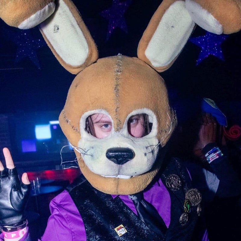 Spring Bonnie Costume - Etsy