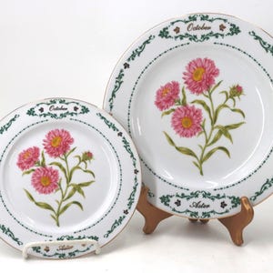 May include: Two white ceramic plates featuring a pink aster flower illustration in the center. The rims are decorated with a green leafy border, the word October at the top, and the word Aster at the bottom in black script lettering.