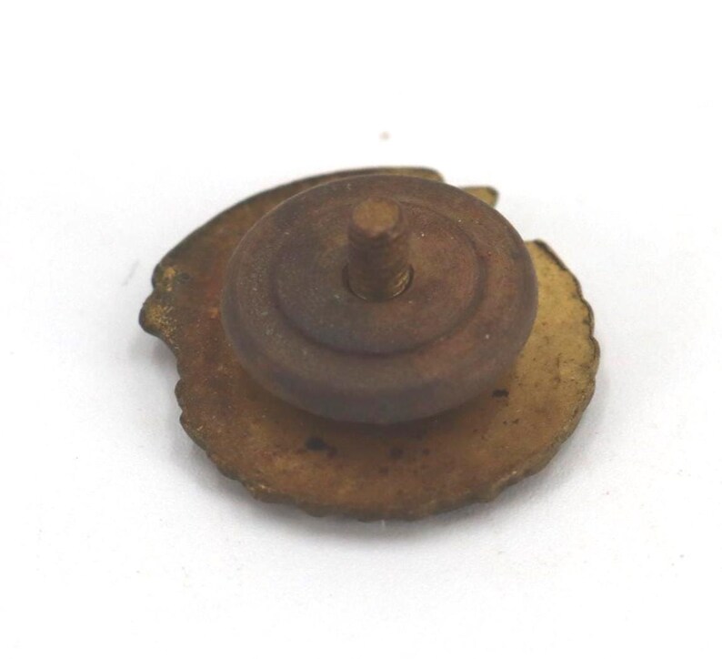 May include: A vintage, circular pin with a textured, gold-toned base and a brown, cylindrical post. The pin's design features a raised, circular element on the front, and a screw-like post on the back for attachment.