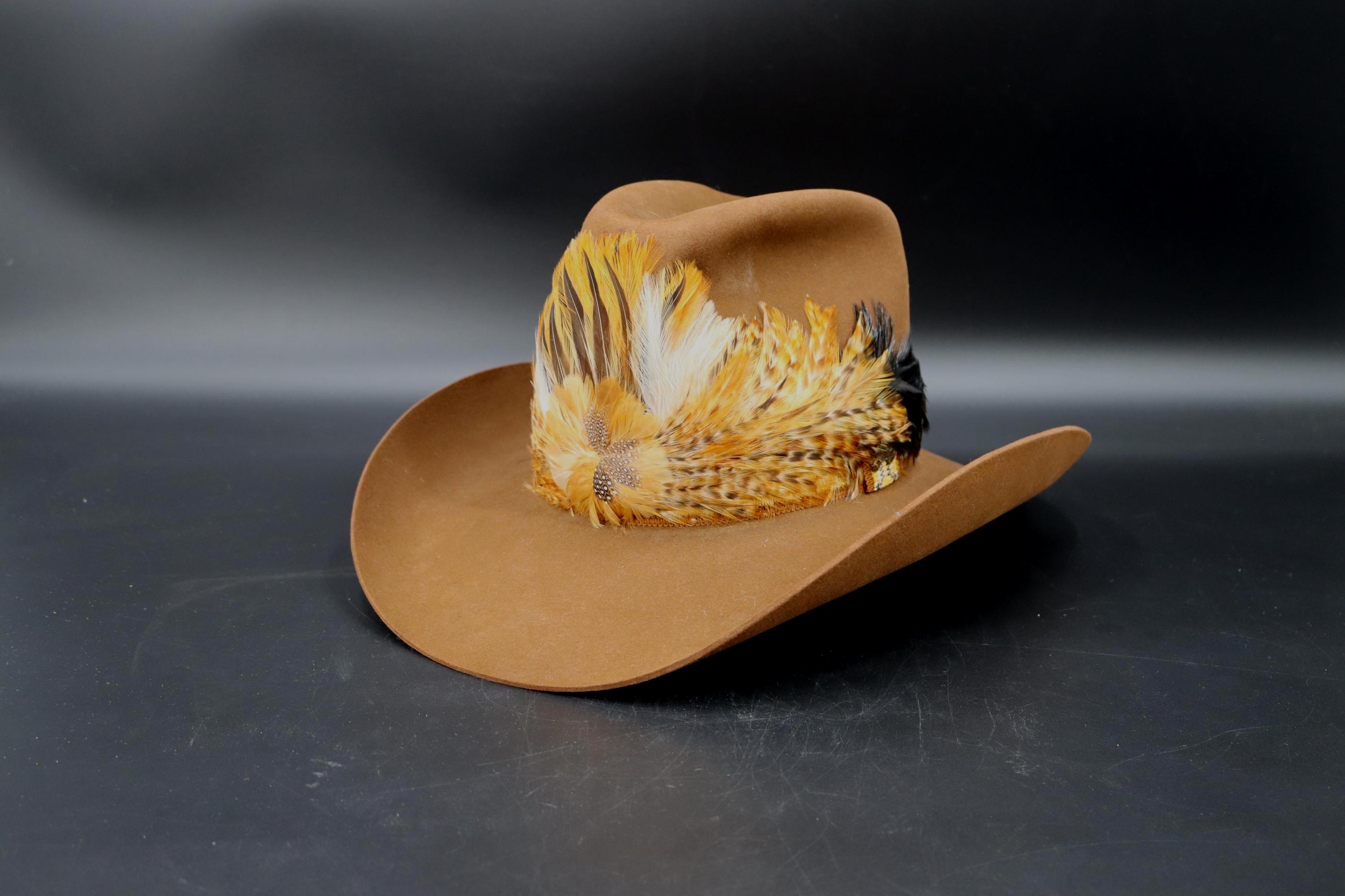 Vintage Resistol Felt Cowboy Hat: Brown Pheasant Feather  display picture 3