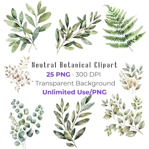 Neutral Botanical Clipart | Watercolor Greenery Leaves PNG, Eucalyptus & Fern, Minimal Floral Elements