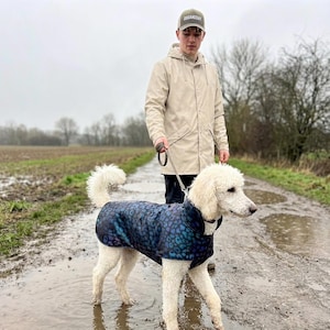 Płaszcz dla psa, softshell, zimowy, ciepły, lekki, wyjątkowy, oddychający, odporny na warunki atmosferyczne