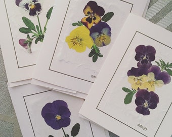 Pressed Pansy Flower Card Set, Real Flower Stationery