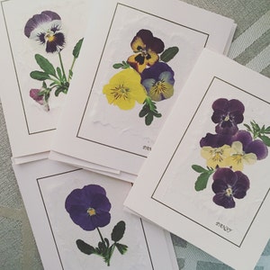 May include: A collection of handmade greeting cards featuring pressed pansies. Each card showcases a unique arrangement of purple, yellow, and white pansy blooms with green foliage, set against a textured white background. The word "Pansy" is printed on each card.