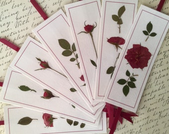 Rose Bookmarks, Pressed Flowers Book Marks, Book Accessories, Red Roses, 7 Floral Bookmarks, Bible Study Group Gift, Bookmarks for Bookworms