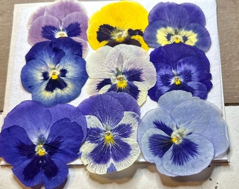 Large Pressed Pansies for Crafting, Edible Flowers (9 pc)