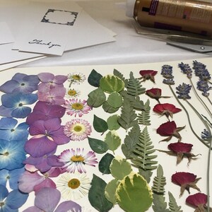 Dried pressed flowers and leaves, floral crafting supplies, hydrangeas, rosebuds, daisies , Lavender Stems, ferns and leaves