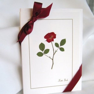 Rose Cards - pressed flowers, blank greeting cards, gift for her, birthday, anniversary, or thank you cards, stationery card set, in a box