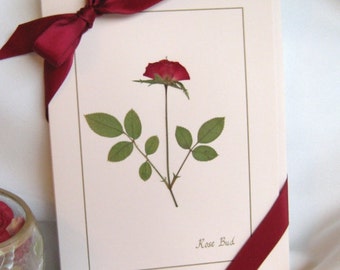 Pressed Flower Cards, Romantic Unique Card Set, Gift For Her, Valentine's Mothers Day Gift, Rose Lovers Gift, Birthday, Wedding Gift