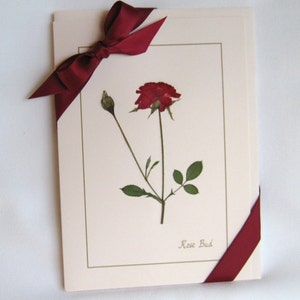 Pressed Flowers Card Set, Gift For Her, Mother's Day Cards, Rose Cards, Blank Cards, Hostess Gift, Birthday, Anniversary Gift