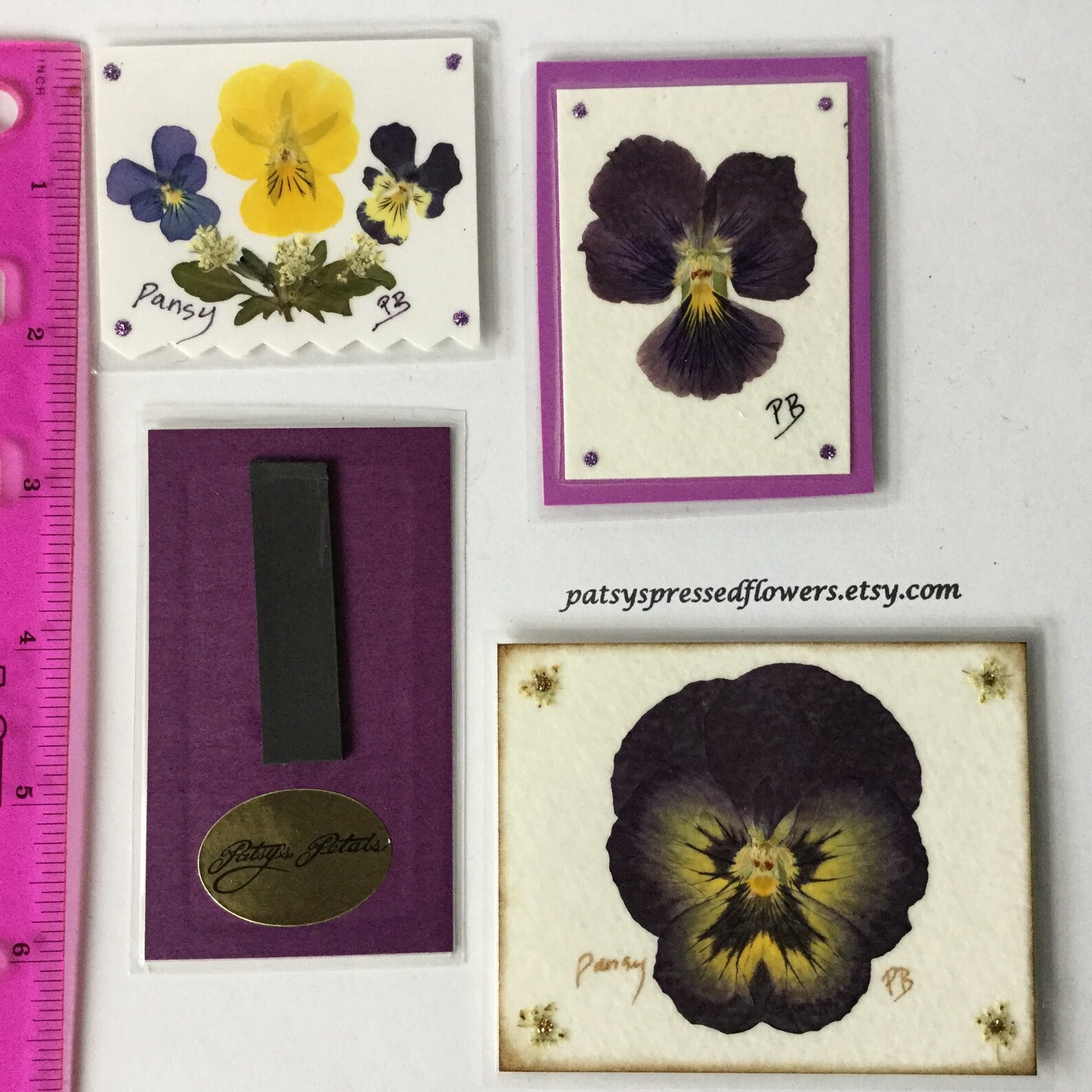 Pansy Set Pressed Flower Little Pieces of My Etsy