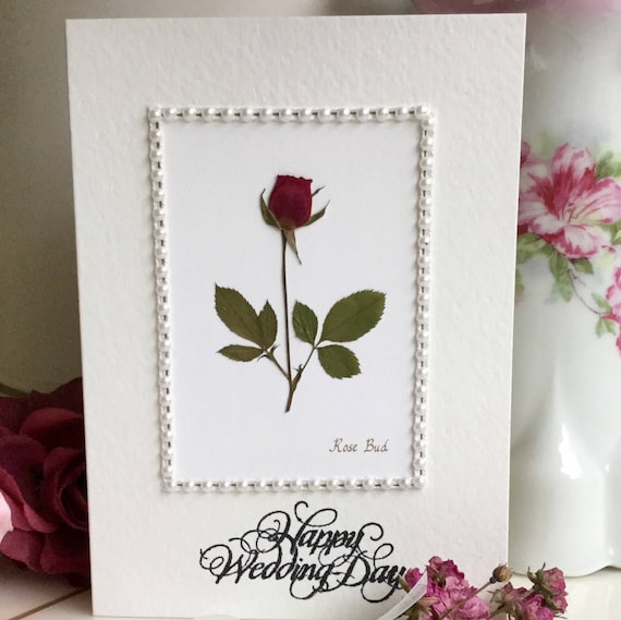 Greeting Card - Rose Greeting Card - Rose