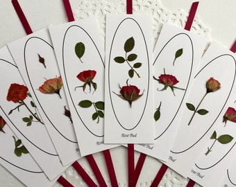 Bookmarks, Pressed Flower Book Marks, 50 Gifts For Bookworms, Book Accessory, Little Gift For Book Lovers, Rose Bookmarks, Bible Bookmarker