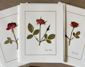 Roses - Pressed Flower Cards - Set of 3 Beautiful Cards