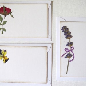 Mini Notes, Enclosure Cards, Pressed Flowers Card Set, 10 Small Flat Cards, Gift Cards image 1