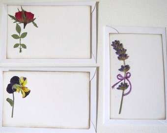 Mini Notes, Enclosure Cards, Pressed Flowers Card Set, 10 Small Flat Cards, Gift Cards