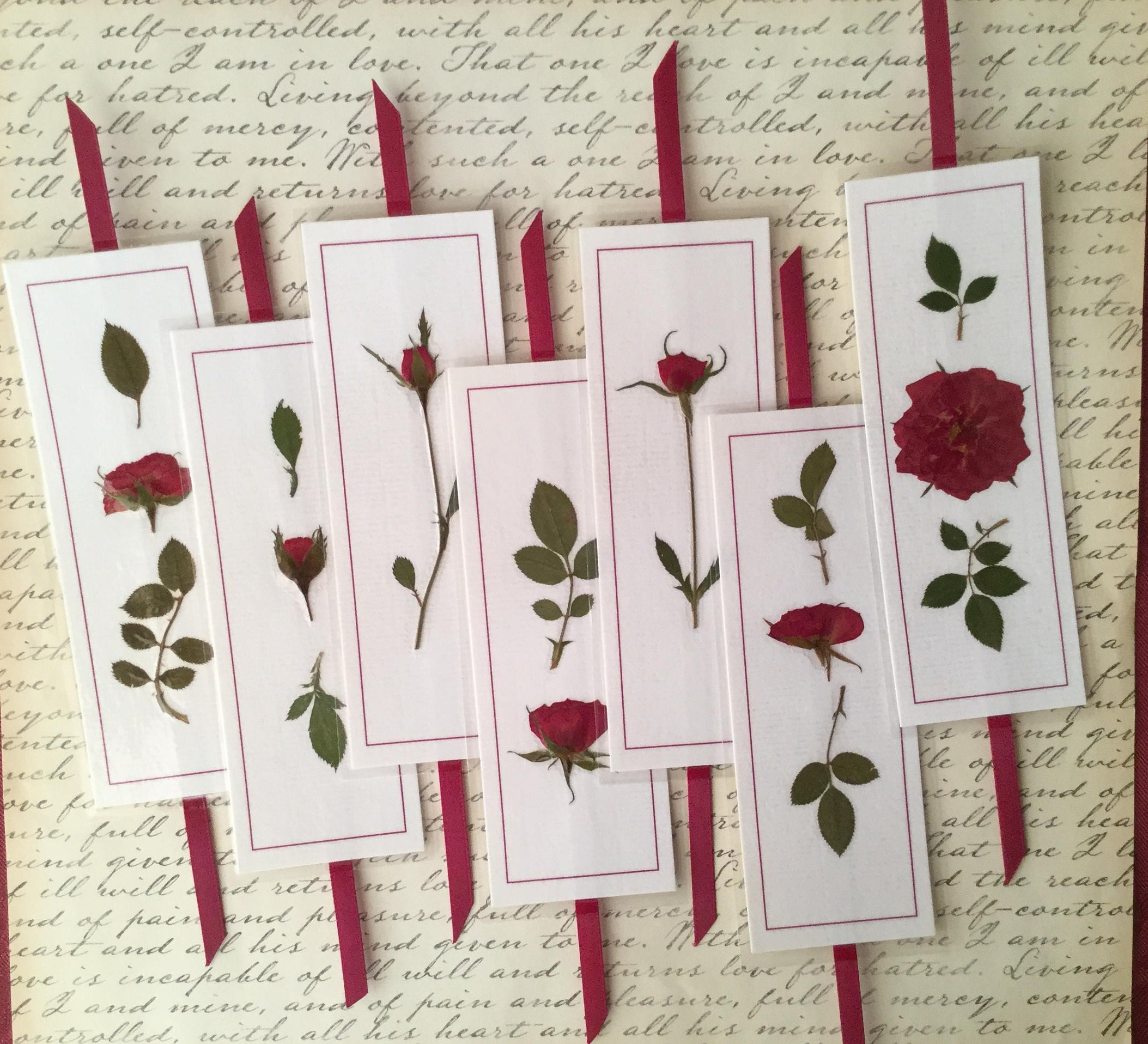 Red Roses Bookmarks Pressed Red Rose Bookmarks, Laminated Floral Book Accessory, Set of 7 ...