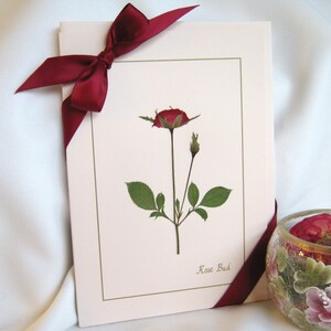 Cartes de fleurs pressées, cartes de Saint-Valentin, jeu de cartes, cartes roses, coffret cadeau pour elle, fête des mères, cadeau d’hôtesse, cadeau d’enseignant ou de secrétaire