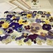 Dried flowers, 40 Pansy Viola Tricolor, Pressed  Flowers, Floral Crafting Supplies for Pansy Art, Scrapbooks, Candles, Jewelry, Phone Cases 