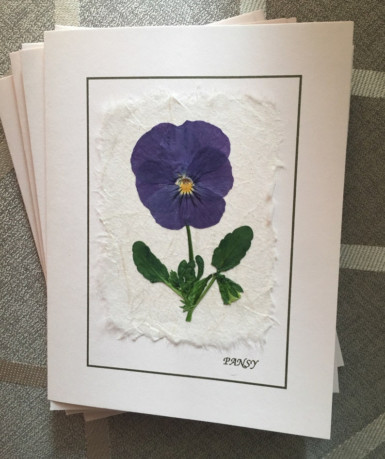 Pansy Card Set Pressed Flowers Stationery Card Set Pansy Etsy