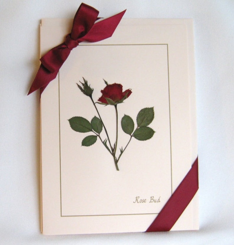 Dried Pressed Flower Cards Rose Cards Set Romantic Gift for Etsy