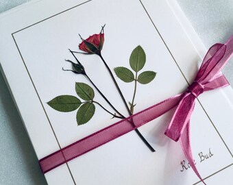 Pressed Flower Rose Card Set, Mothers Day Gift For Her, Floral Cards And Stationery