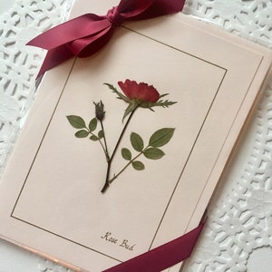 K&ouml;nnte beinhalten: Eine Gru&szlig;karte mit einer gepressten roten Rose und Knospe, gr&uuml;nen Bl&auml;ttern, auf hellrosa Hintergrund. Sie ist mit einem bordeauxfarbenen Satinband gebunden. Die Worte "Rose Bud" sind auf die Karte gedruckt.