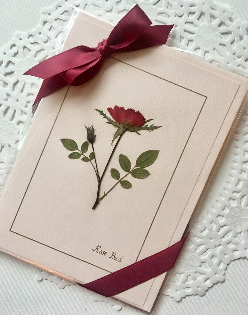 K&ouml;nnte beinhalten: Eine Gru&szlig;karte mit einer gepressten roten Rose und Knospe, gr&uuml;nen Bl&auml;ttern, auf hellrosa Hintergrund. Sie ist mit einem bordeauxfarbenen Satinband gebunden. Die Worte "Rose Bud" sind auf die Karte gedruckt.