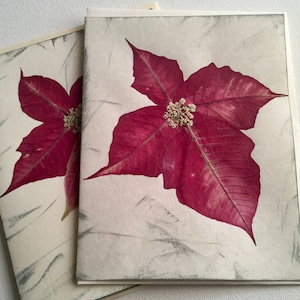 Pressed Flower Christmas Card, Poinsettia Flower, December Birthday Cards, Winter Holiday Card Set, Dried Pressed Leaves, Red Flower Cards