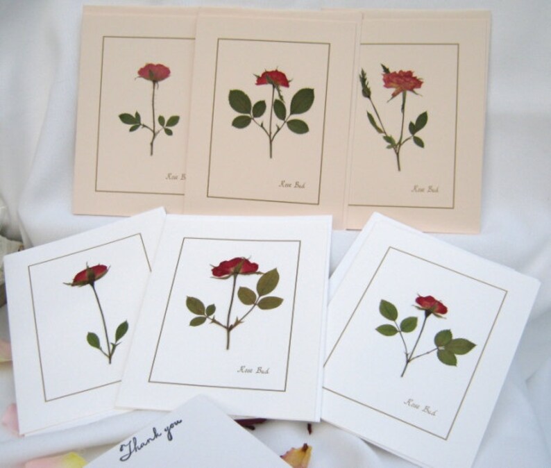 Rose Flower Greeting Cards Thank You Cards Pressed Flower Note Card Set Thank you Stationery