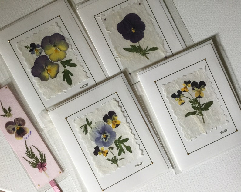 Pansy Card Set Pressed Flowers Stationery Card Set Pansy Etsy
