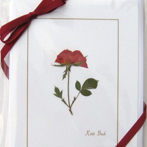 Rose Bud red flower cards, handmade, pressed flowers, greeting card set, gift for her, blank, cards for any occasion image 1