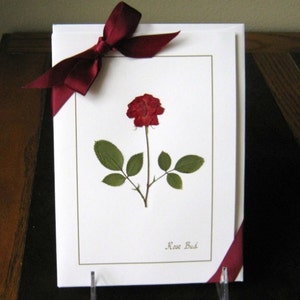 Vraies fleurs pressées, jeu de cartes de 4 vraies roses sur des cartes blanches vierges 5x7, coffret cadeau attaché avec un ruban de satin