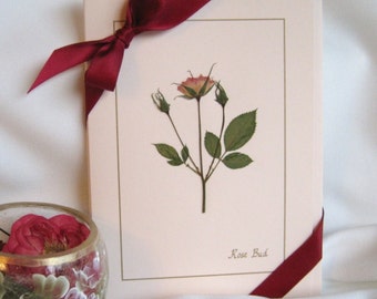 Pressed Flower Card Set, Real Roses, blank greeting cards, romantic unique card set gift for her, Valentine's or Mother's Day, anniversary