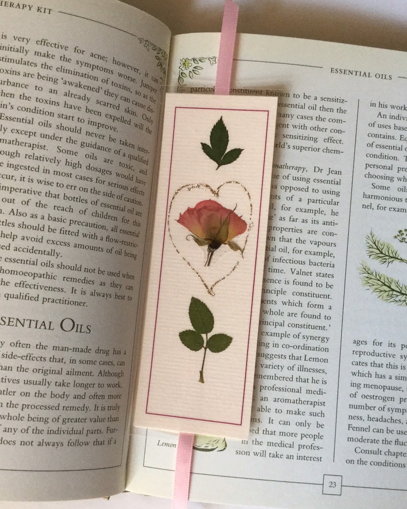 Rose Bookmark Real Roses Pressed Flower Bookmarks Laminated Etsy