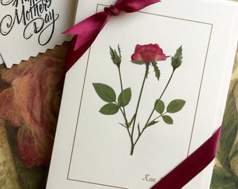 Pressed Rose Card Set, Vintage Blank Cards, Floral Stationery