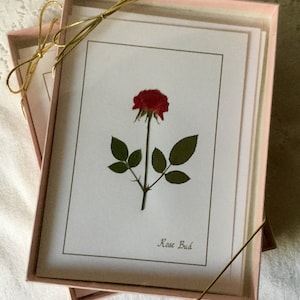 Pressed Flowers Rose Cards, Set of 4, Gift Box For Her