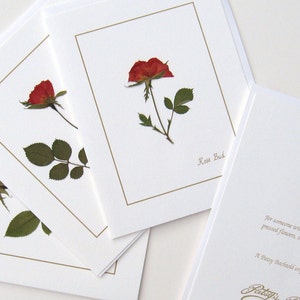 Rose Bud red flower cards, handmade, pressed flowers, greeting card set, gift for her, blank, cards for any occasion image 2