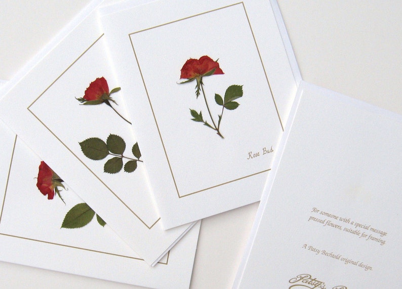 Rose Bud red flower cards, handmade, pressed flowers, greeting card set, gift for her, blank, cards for any occasion image 2