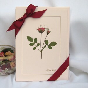 Ensemble de cartes de fleurs pressées, vraies cartes roses, coffret cadeau pour son anniversaire, cadeau de fête des mères, cadeaux de fête, cadeaux de professeur ou d'hôtesse